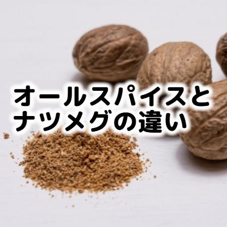 オールスパイスの代用品 7選 ナツメグで代用可能！おすすめ代替品＆作り方を紹介代用品お探しサイト 困った時に役立つ カワルン