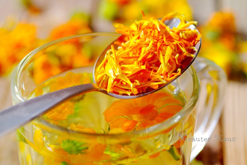 カレンデュラ2 ポットマリーゴールド 混合 の種 4袋セット 春、秋まきハーブのタネの通販園芸ネット