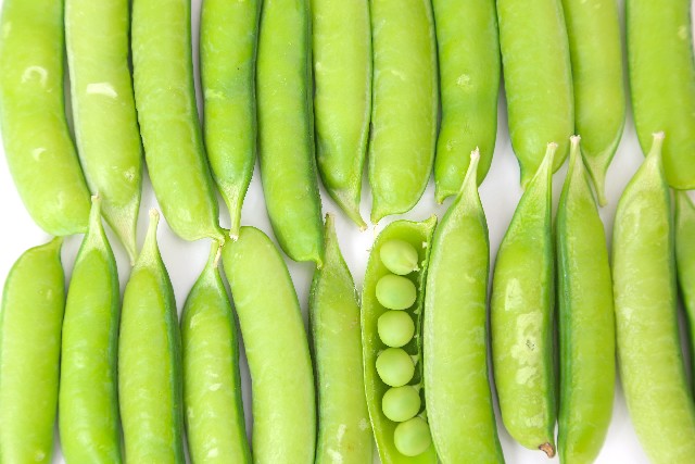 エンドウ えんどう豆 の育て方と栽培のコツやまむファーム