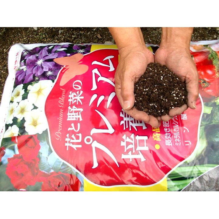 ブロッコリー花を食べる野菜 公式 まごころケア食