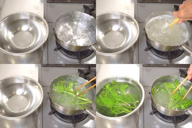 食べれる雑草さん セイヨウカラシナ野花生活 365日