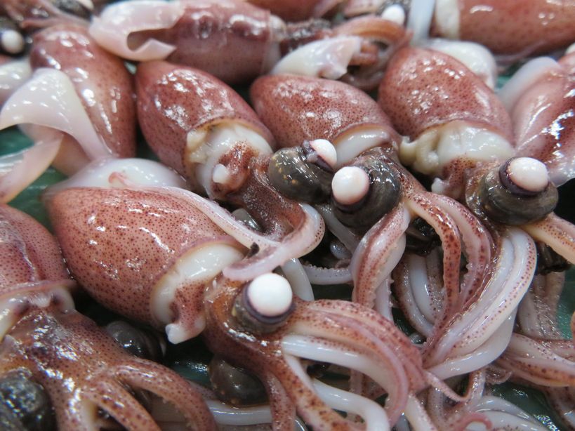 旬のホタルイカを食べよう！ホタルイカがおすすめの理由とは一般社団法人日本栄養検定協会