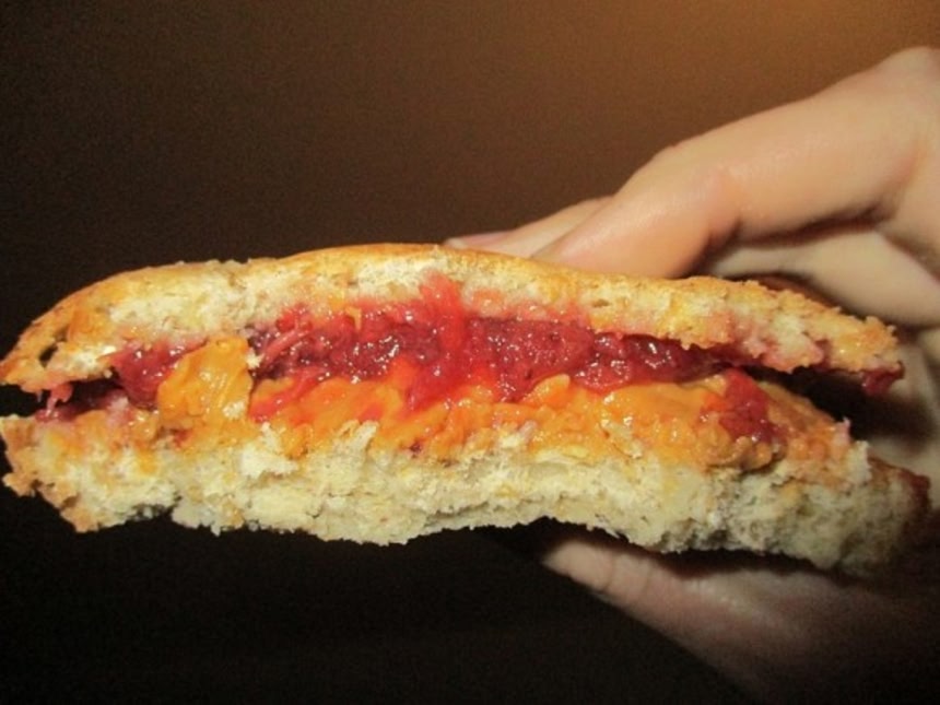 ○カナダのアザラシ猟について*** My Secret Place *** - 楽天ブログ