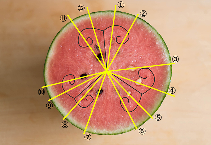 スイカの正しい切り方。切り方次第で種無しスイカを作れる。図解付きで解説