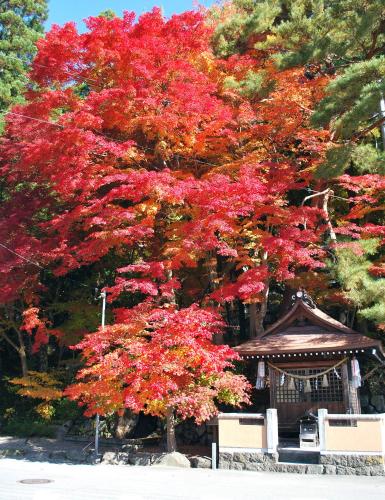 岐阜県高山市の最高のホテルをサーチします。