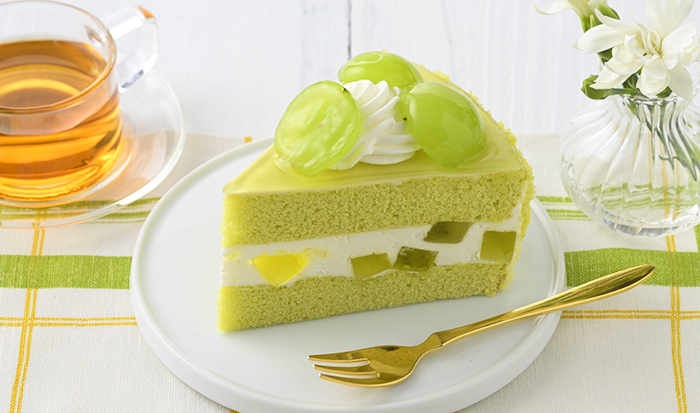 ᕱ⑅ᕱ シャインマスカットタルト ᕱ⑅ᕱ * こんにちはꪔ̤̫ꪔ̤̱ꪔ̤̮ꪔ̤̥ * チーズタルトの上に シャイン様をのせました \♥︎︎チーズタルトが好きすぎる♡♡ * クリームチーズってなかなか 値段もカロリーも高いっっ 𓄹𓄹 好きだから作っちゃうけど 笑 * 今日も見て