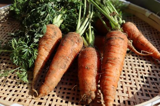 葉付きニンジン生成aiイラスト素材透過、PNGフリー画像ダウンロード - Pngtree