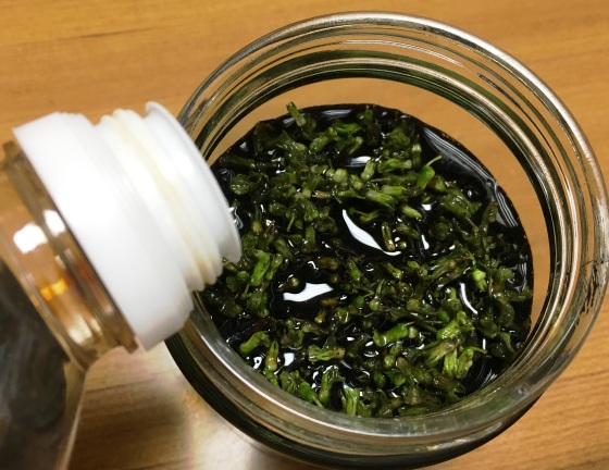 しその実漬100g入