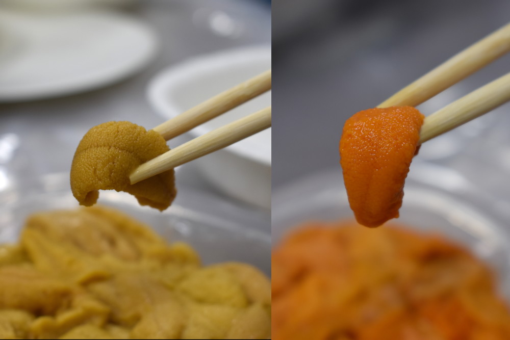 そのまま食べるより美味しくなる!? プロが教える「塩うに」のレシピ三越伊勢丹の食メディアFOODIE フーディー