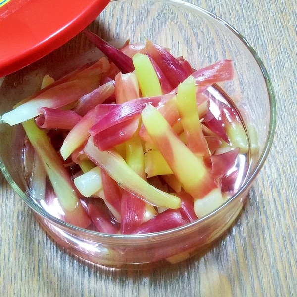 茗荷 みょうが を食べると物忘れする?絶対ハマるレシピもご紹介!kohaku