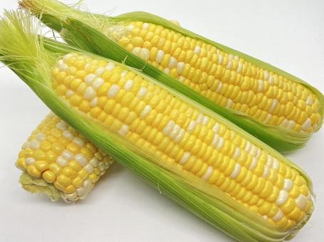 輝く粒に、かぶりつけば、夏はすぐにやってくる。 富士宮の特産品 農産物 トウモロコシ富士宮やきそば&フードバレー公式ガイド