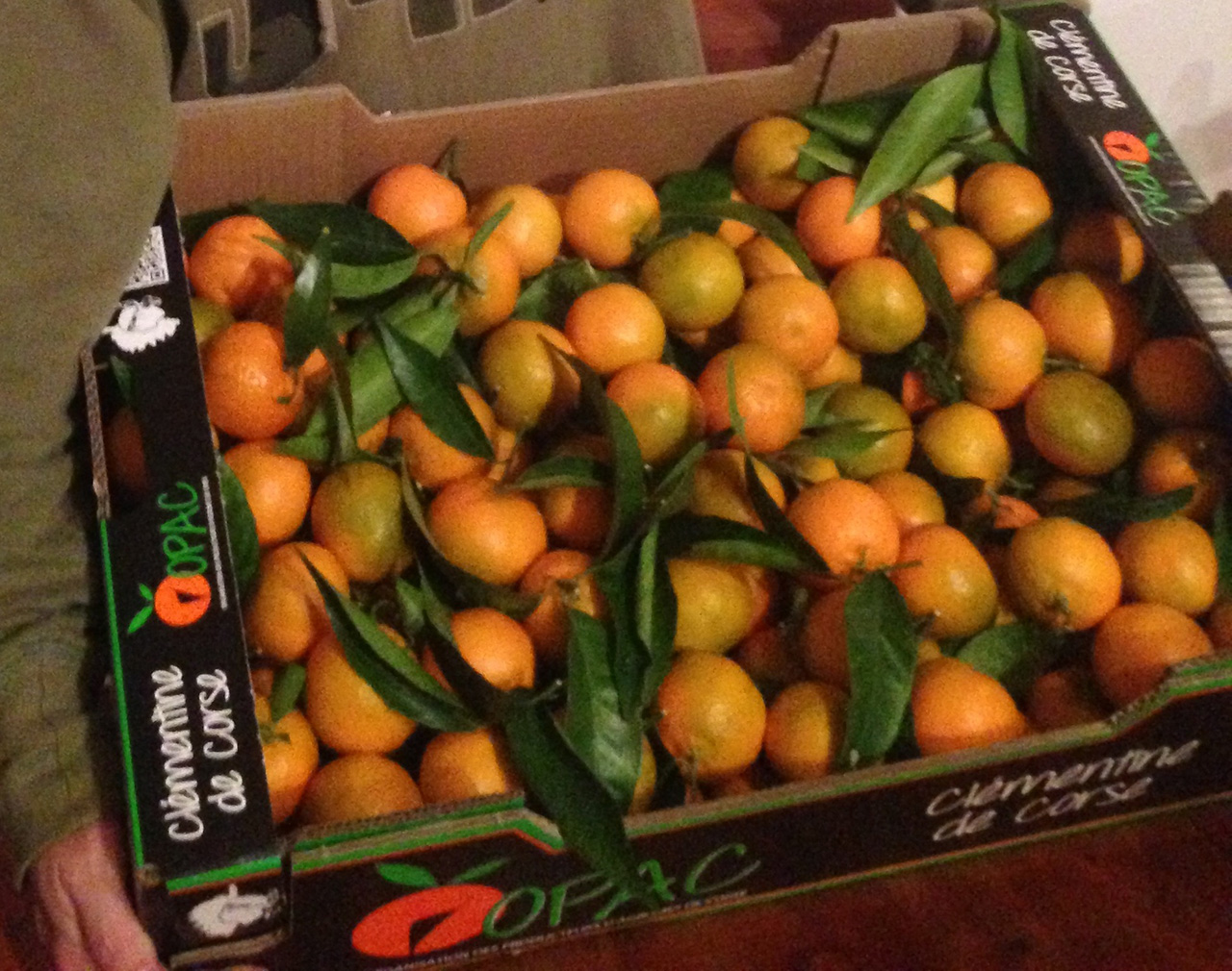 Clémentine - パリで食べるみかん「クレモンティーヌ」