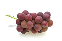 信州中野産 ぶどう約900gハニービーナス果物 ぶどう 産直アウル 農家から直接野菜などの食材を購入できる産地直送の宅配通販サイト