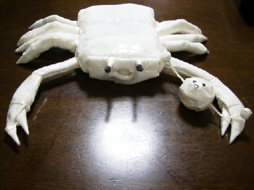 カニが口から泡を吹くのは呼吸困難 酸欠 の危険なサイン!?仕組みを知り対処方法も理解しよう!Aquarium Favorite