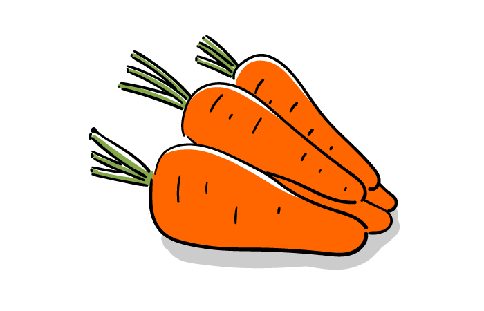 リアルなニンジンイラスト・フリー素材なら「シンテリ」
