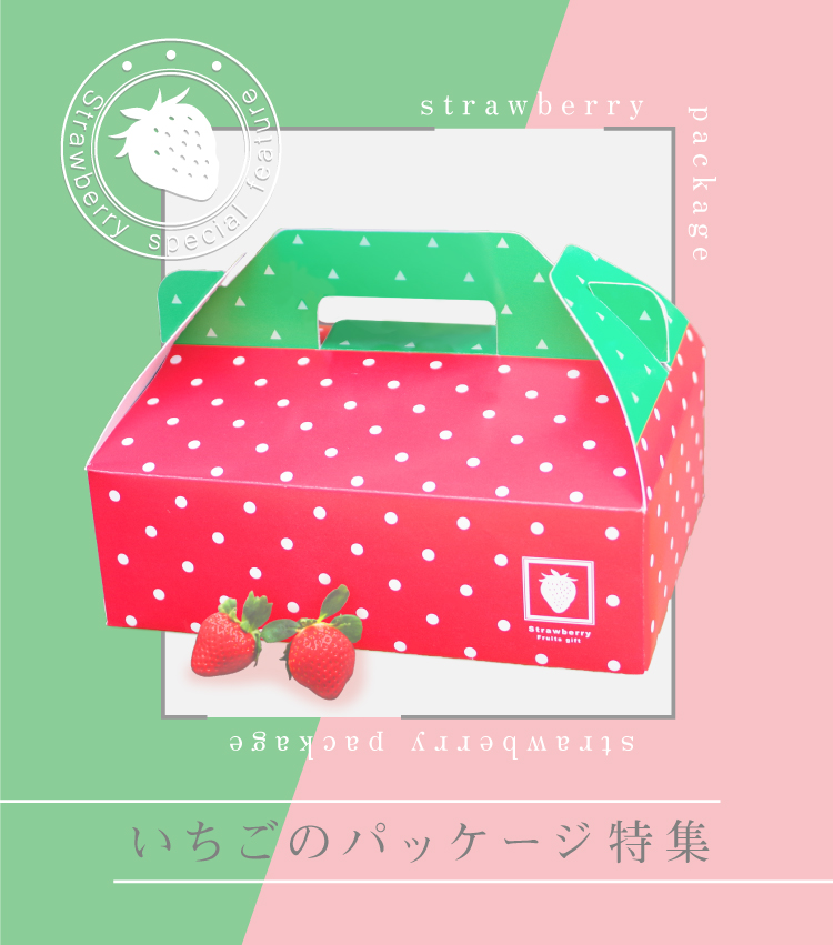 高級フルーツのデザイン化粧箱大阪総合デザイン専門学校