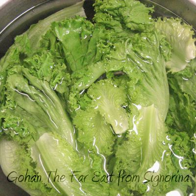 レタス保存方法冷蔵・冷凍で長持ちさせるテクニックを徹底解説!ツヴィリング公式オンラインショップ