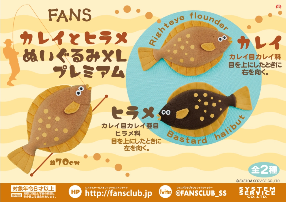 持ち込まれた魚 平成26年5月27日, 6月4日眼位逆位のヒラメ - 新潟県ホームページ