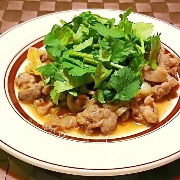 豚肉のパクチーサラダ