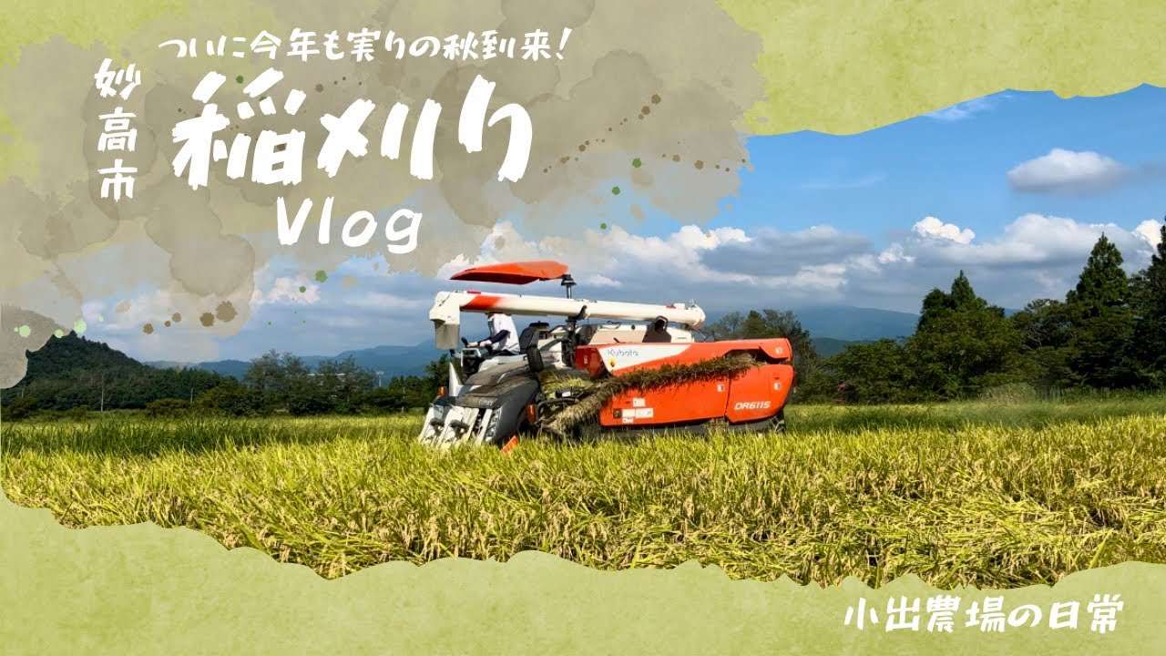 佐倉市 田畑でおもいっきり楽しもう！「いっしょに畑拓きしよう！」と「田んぼで筋トレ」が3月2日と3日に開催されます！号外NET佐倉市・四街道市・八街市