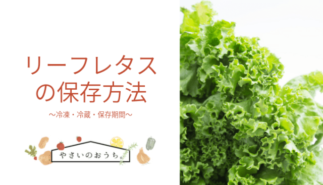 種類別!レタスを美味しく長持ちさせる保存方法 最長3週間、レタスの鮮度を保つテクニックもご紹介!ONIGO通信スーパー価格で、すぐ届く。ONIGO