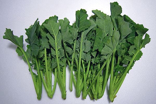 野菜どっさりクッパは夜遅くでも罪悪感少！鍋ひとつ15分で完成 連載・21時の美容メシ 8Oggi.jp