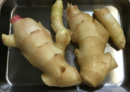 新生姜とは？主な流通時期は「夏頃」だけど本来の旬は「秋頃」だった食・料理オリーブオイルをひとまわし