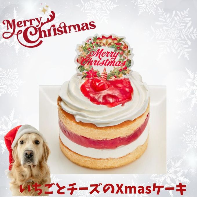 犬用のクリスマスケーキをネット通販で買おう！ワンちゃんのデリ おかず とセットになったものもまとめて紹介！ - 関西＠わんこー関西で犬 と一緒にお出かけできる場所を紹介
