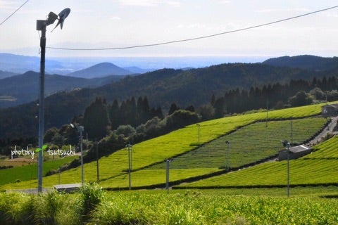 堀江銘茶園７代目🍵スイーツ神@horiemeichaen19X