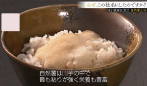 うなとろろうどん