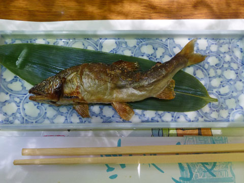 ふるさと納税 対馬産 にこまる 5kg×4 「ほたる舞う三根川の米」 小分け