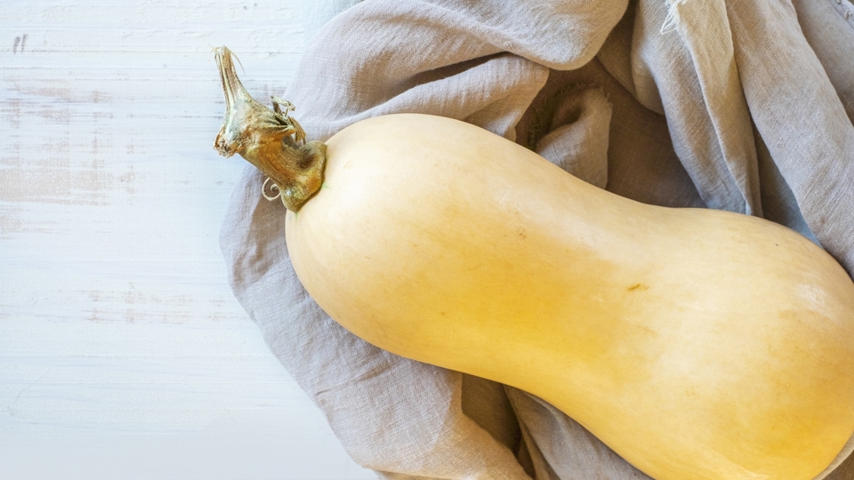 2022.9～10月 * *料理記録, 実家からの, 『そうめんかぼちゃ 瓜 』, ●金糸瓜 きんしうりそうめんかぼちゃとは ？,◆ウリ科カボチャ属ペポ種英 Spaghetti squash ,金糸瓜 きんしうり はカボチャの中でもズッキーニなどと同じ部類のペポカボチャの一種にあたります。そのほぐれた糸状の果肉の様子から、そうめんかぼちゃ 素麺南瓜 やそうめんうり 素麺瓜 、いとう