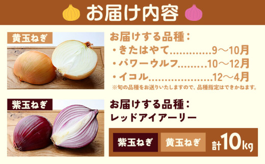 紫玉ねぎは収穫間近 - 大好き！野菜の時間