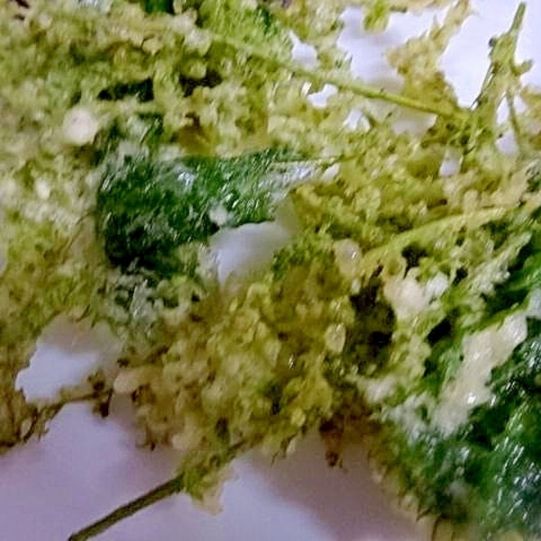 紫蘇の実の天ぷら