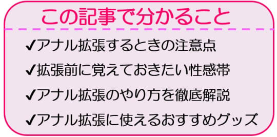 アナルバイブの使い方とコツ！自分や相手に使うときの注意点も紹介｜風じゃマガジン