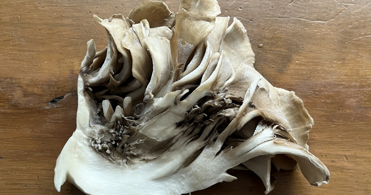 舞茸たぶん1週間くらい前に買って冷蔵庫にあったのですが食べられますか？変な匂- Yahoo!知恵袋