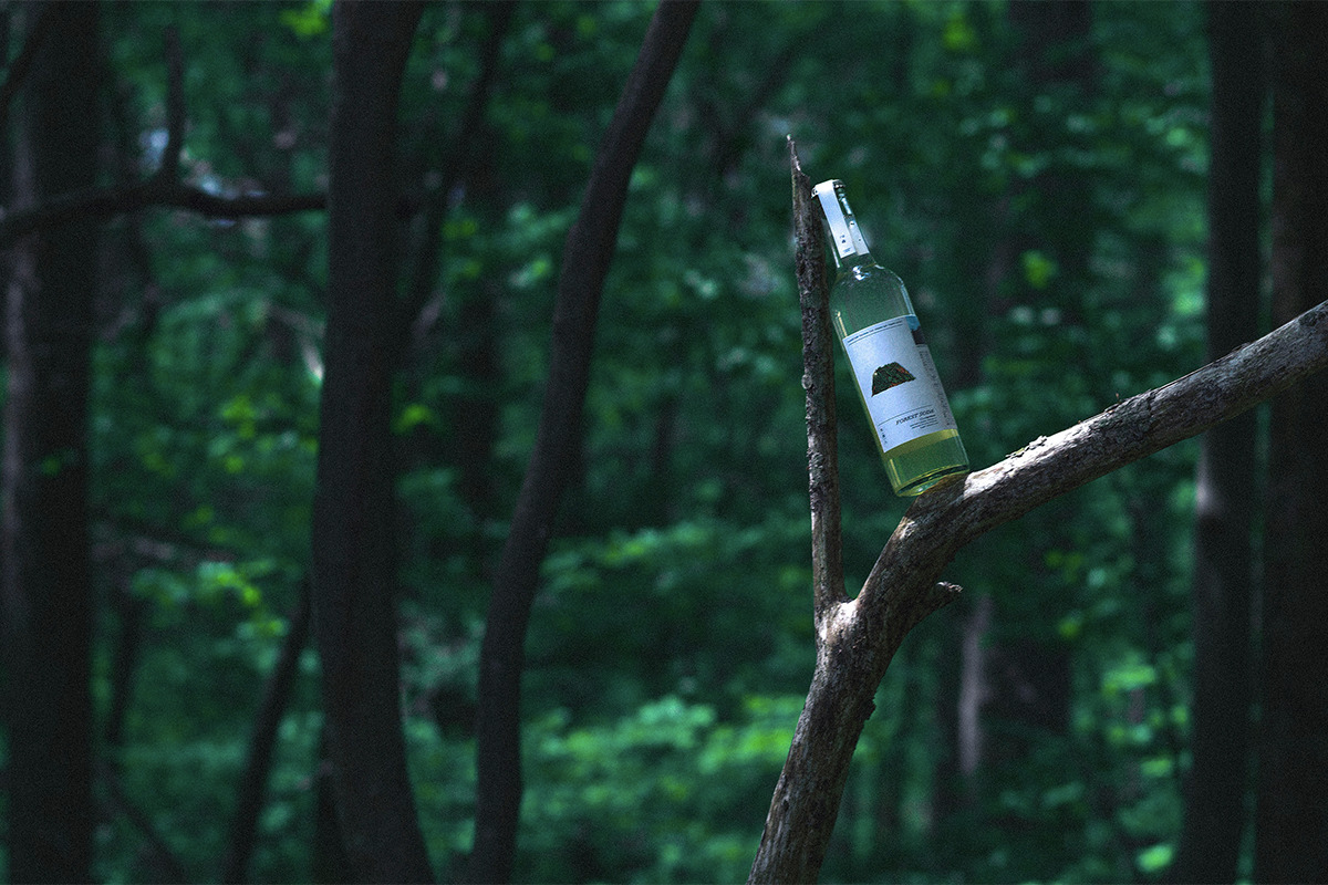 葉が食用になる木 - 庭木図鑑 植木ペディア