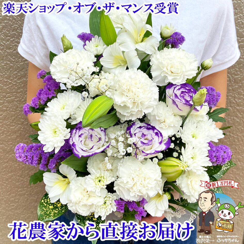 産地直送カーネーション切り花50本西九州させぼ地域商社