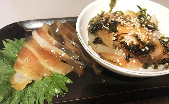 イカの絶品レシピ5選 沖漬けからイタリアンまで、釣果を味わい尽くす方法美味しい鮮魚料理