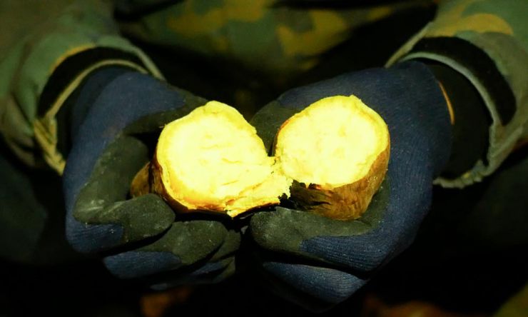 再現レシピ 野菜丸ごと!焚き火でホイル包み焼き valor-navi バローナビ