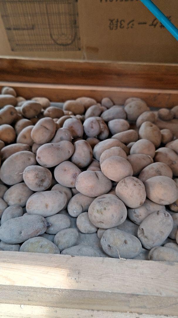 絶品！卵を使ったリゾットレシピまとめ2025 年のリアルなLemon8ユーザー体験