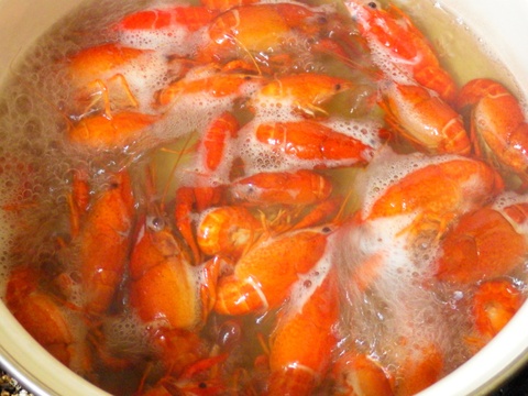 フランスや北欧料理の定番！ザリガニってどんな味