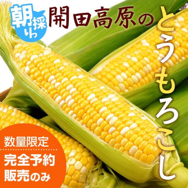 楽天市場 もちもちとうもろこし 1本 2種類選べる トウモロコシ 黄もちとうもろこし 紫もちとうもろこし 糯玉米棒 黄糯玉米 紫糯玉米 パープル調理済み 温めるだけ 真空パックコーン 中華食材 電子レンジOK 中国産 中華物産 賞味期限:黄2026.01.12 白2026.02.16: 海