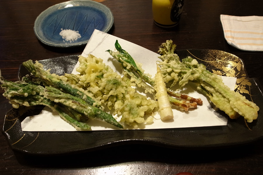 季節限定 新潟魚沼 天然生木の芽 採れたて山菜 100g 冷蔵 越季 こしき