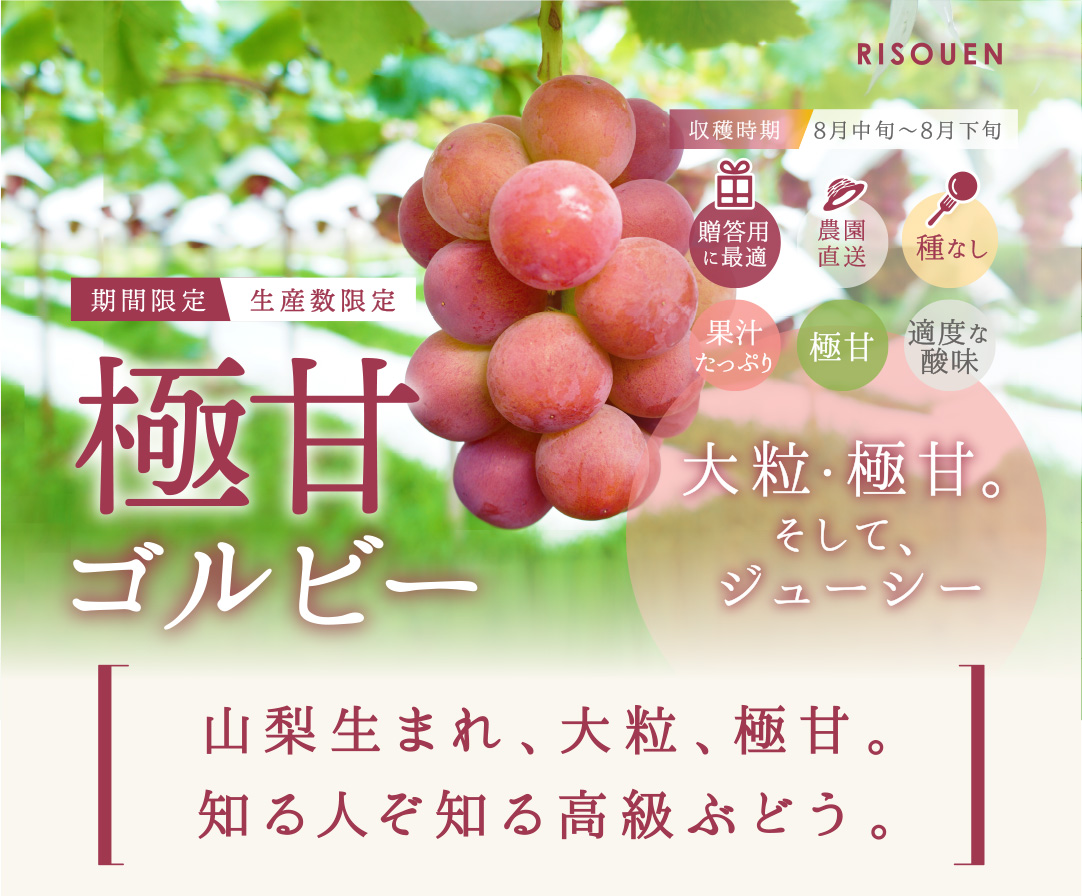 ゴルビー – ぶどう狩り@久保田園 山梨県甲州市勝沼町のぶどう狩り園