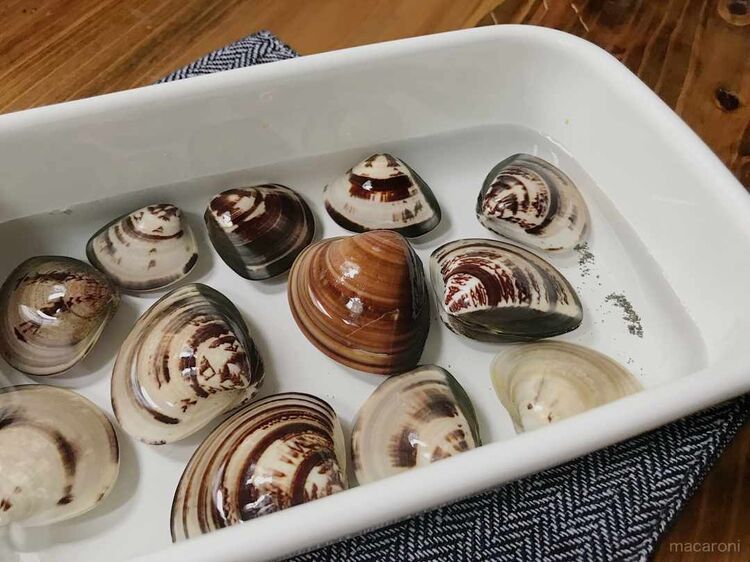 10分! 時短ではまぐりの砂抜き