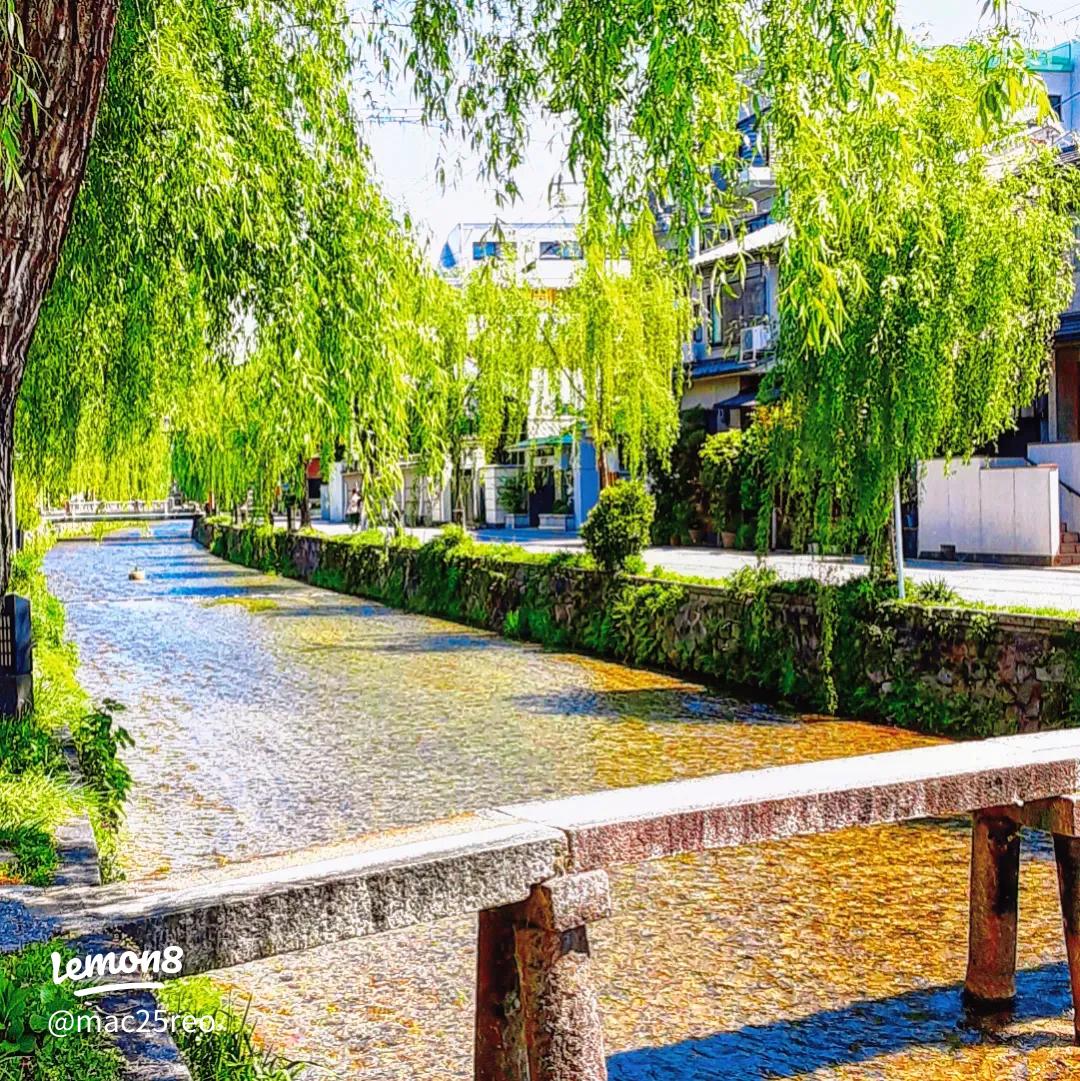 滞在時間4時間半 ^^;駆け足で巡る京都の食と桜2018 メインは高台寺の桜 』東山・祇園・北白川 京都 の旅行記・ブログ bynshiさん フォートラベル