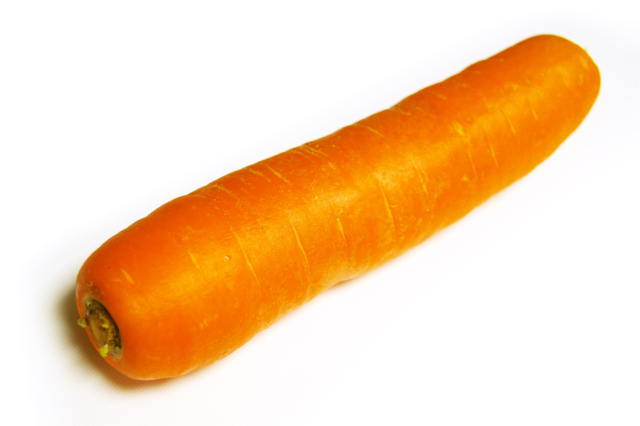 フリーイラスト人参パブリックドメインQ：著作権フリー画像素材集