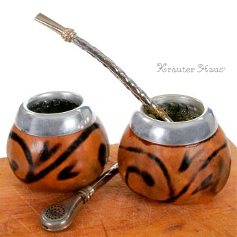 庭木・植木 マテ茶の木 イェルバマテ6寸・約W100×H130cm ライフエコ 神々