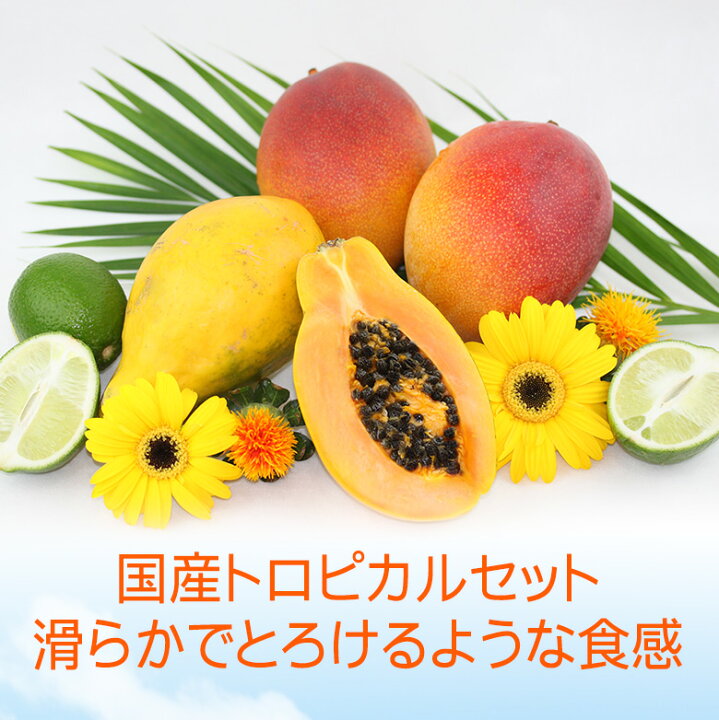 価格.com パパイヤ通販・価格比較・製品情報
